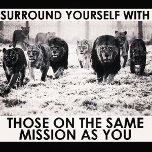 surround yourself